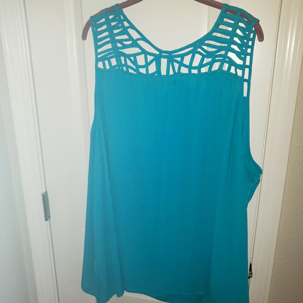Blue caged blousw